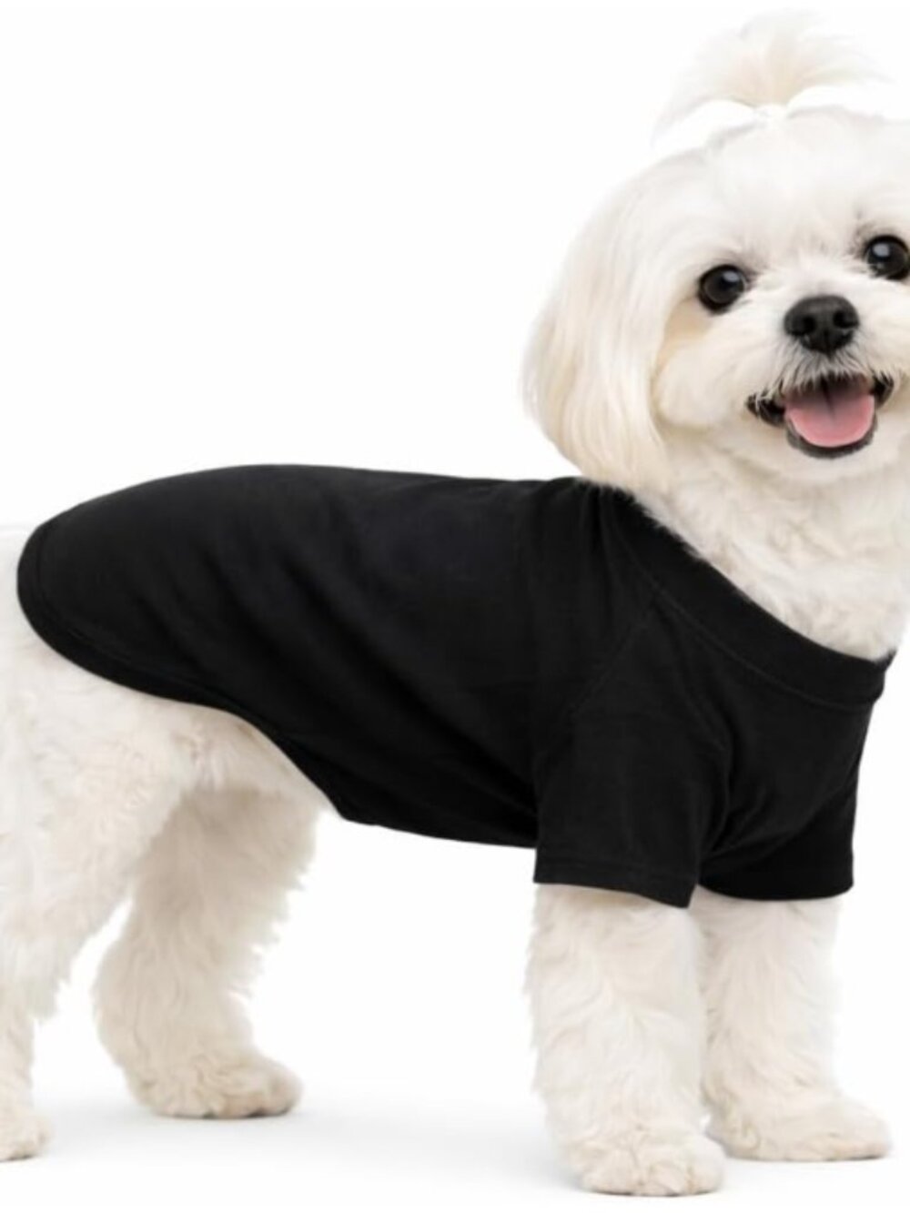 2 Short Sleeve Dog Shirts...One black, One Blue  Size XL  NWT
